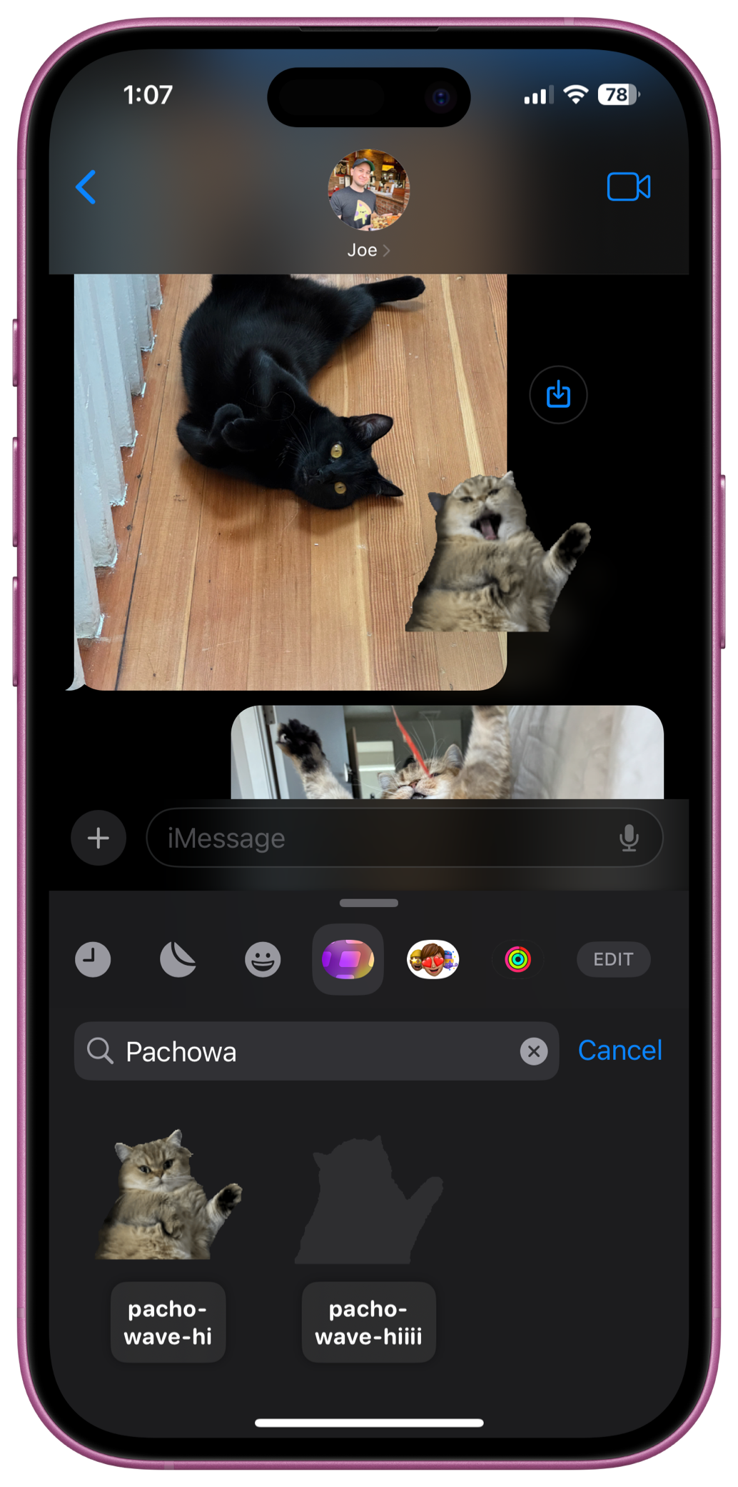 A screenshot of the iOS Messages app showing a photo of a black cat stretched out on the floor, showing a Slicker sticker of a cat waving being peeled off the sticker drawer and being applied to the photo.