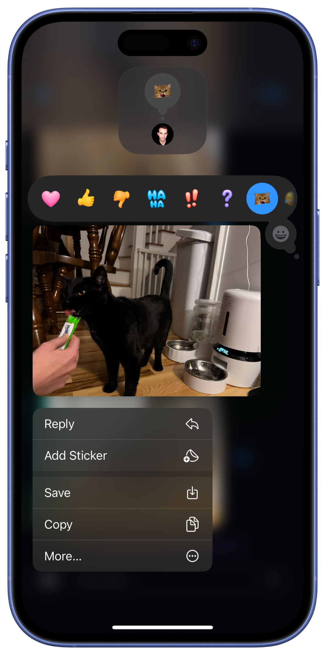 A screenshot of the iOS Messages app, displaying a photo of a black cat eating a treat with a Slicker sticker of a cat licking his lips applied as a reaction.