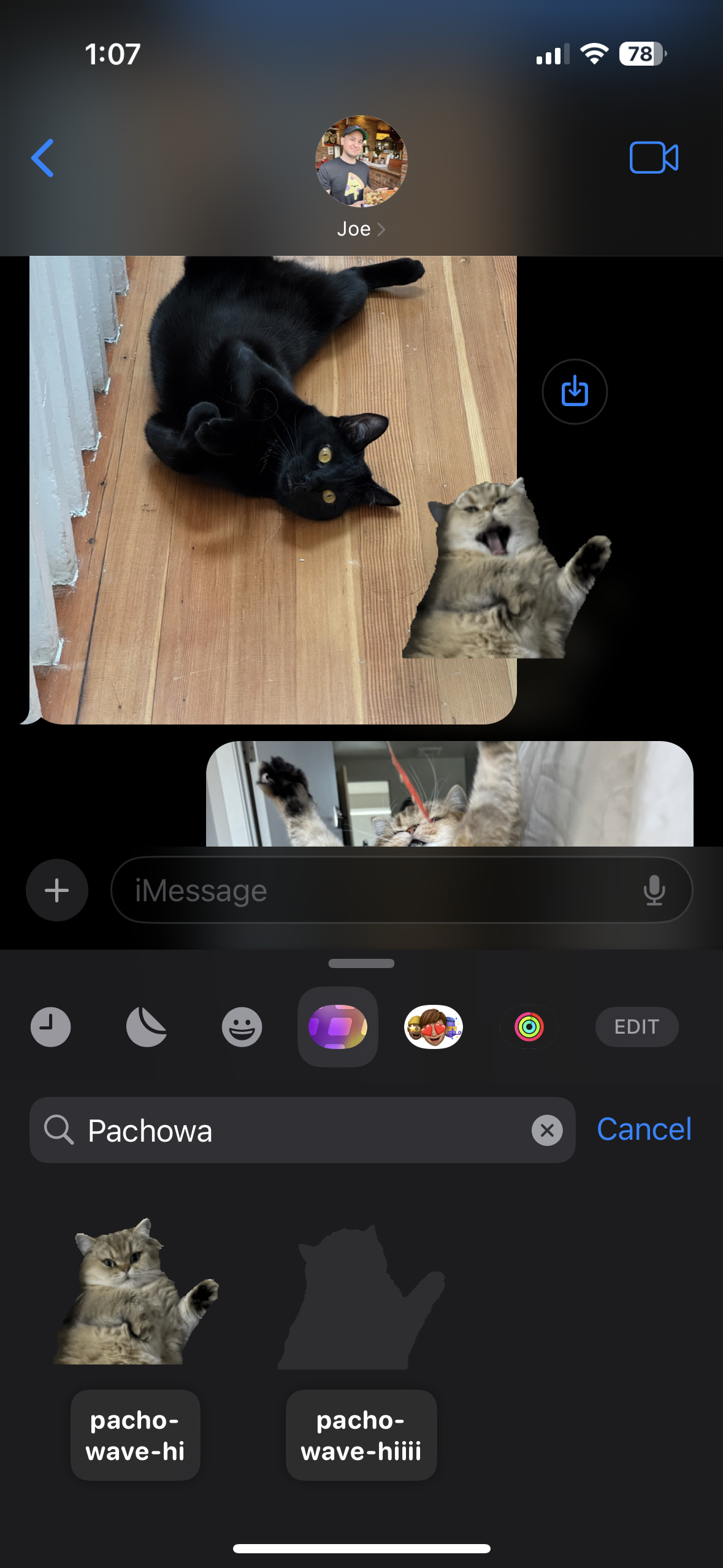 A screenshot of the iOS Messages app showing a photo of a black cat stretched out on the floor, showing a Slicker sticker of a cat waving being peeled off the sticker drawer and being applied to the photo.
