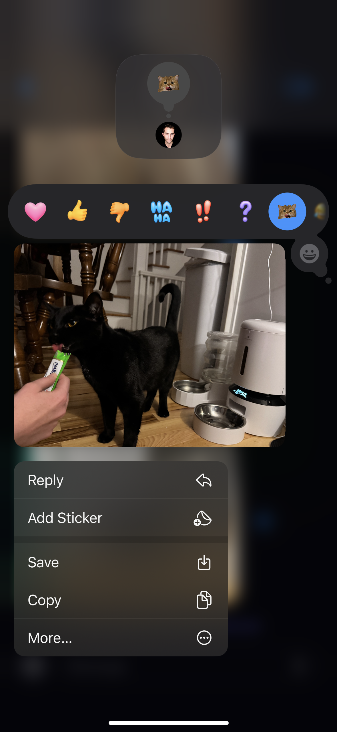 A screenshot of the iOS Messages app, displaying a photo of a black cat eating a treat with a Slicker sticker of a cat licking his lips applied as a reaction.